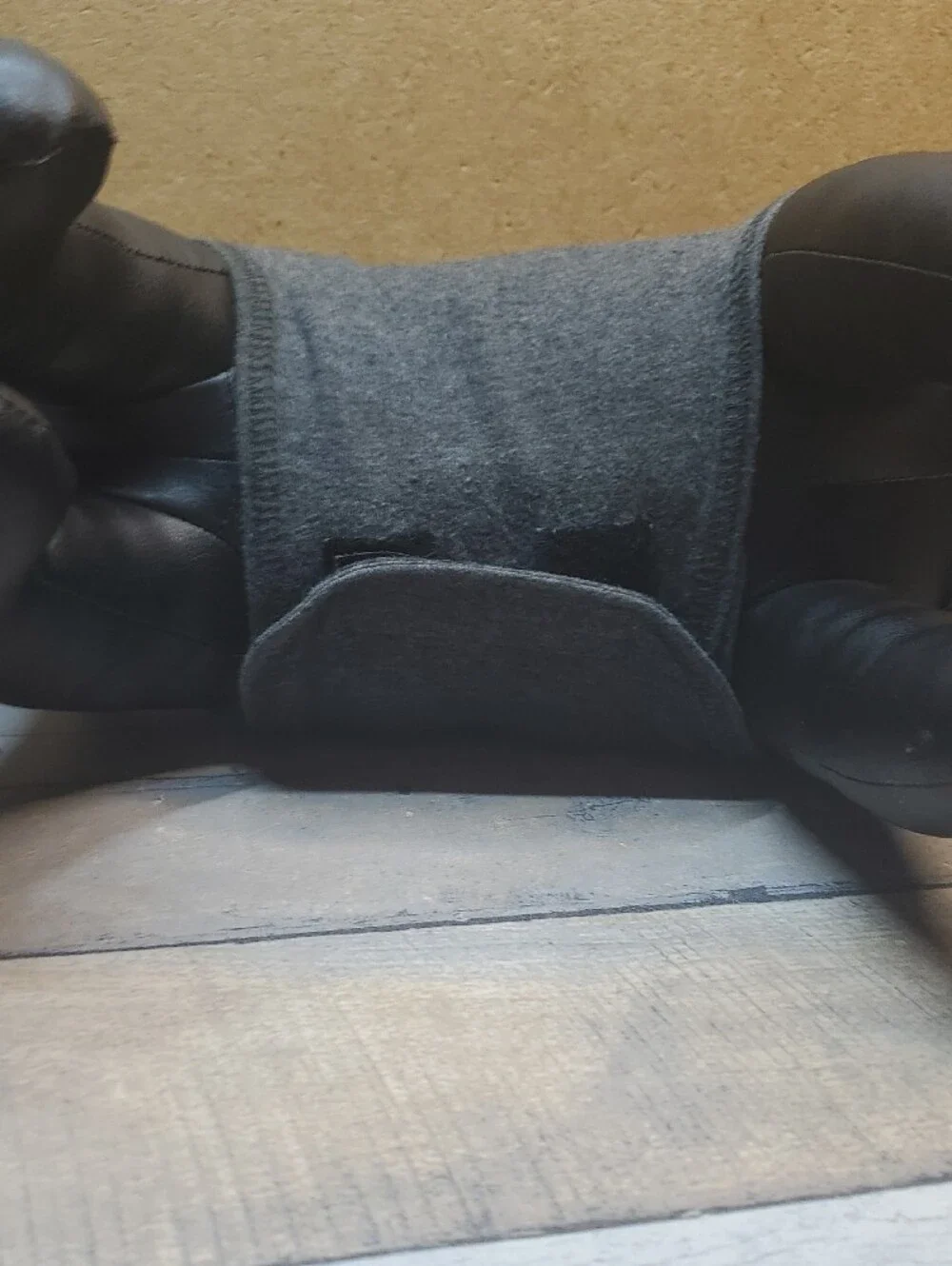 Thundershirt dogs anxiety